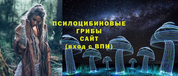 крисы Алексин
