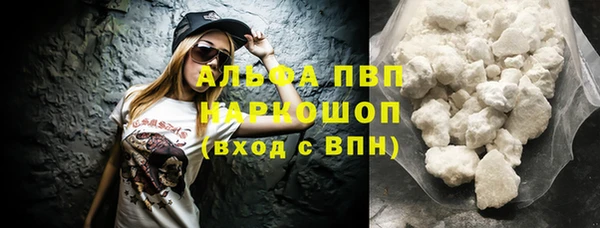 крисы Алексин