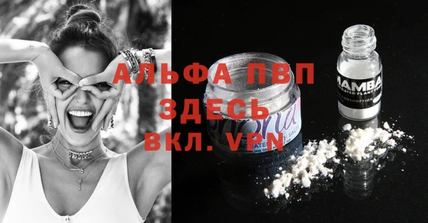крисы Алексин