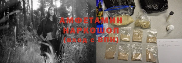 крисы Алексин